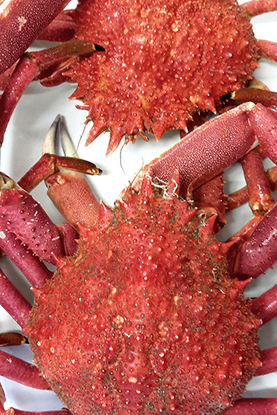 Ristorante Caorle - Da Buso